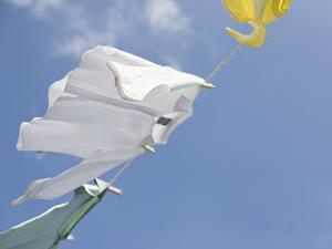 沢山配る人も少数の人も嬉しい年賀状印刷